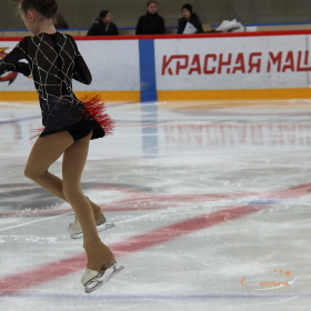 Первенство Верхней Пышмы «Медный конёк»