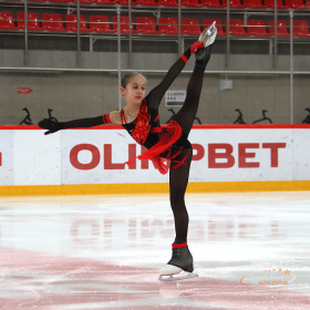 Первенство Верхней Пышмы «Медный конёк»