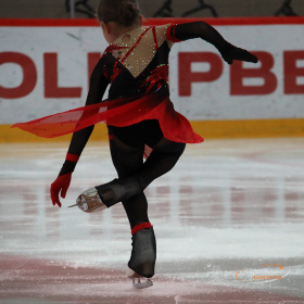 Первенство Верхней Пышмы «Медный конёк»