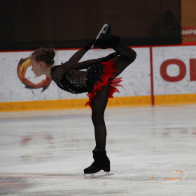 Первенство Верхней Пышмы «Медный конёк»