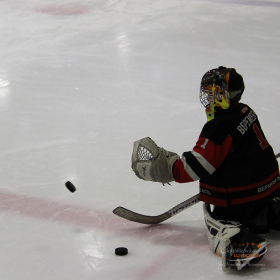 Мастер-класс по хоккею для вратарей