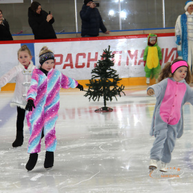 Новогодняя тренировка юных фигуристов