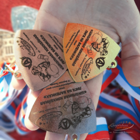 Школьная хоккейная лига на валенках