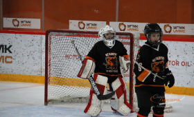 Авто-Верхняя Пышма - Металлург