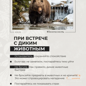 Встреча с опасными животными