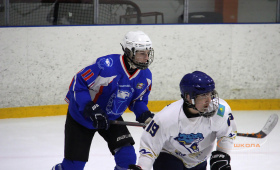 СШ А.В. Кожевникова - Барыс