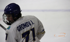 СШ А.В. Кожевникова - Барыс