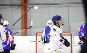 СШ А.В. Кожевникова - Барыс