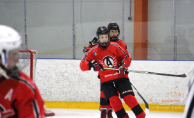 ХК Авто - ХК СШ А.В. Кожевникова