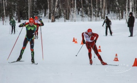 Лыжня России