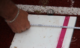 Чемпионат по легкой атлетике