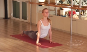Fit Yoga