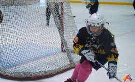 Турнир по хоккею