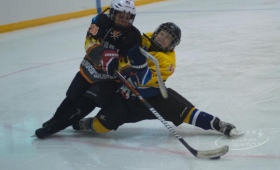 Турнир по хоккею