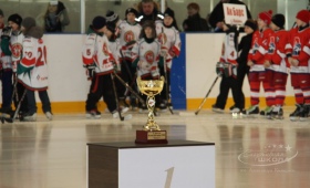 Детская хоккейная лига