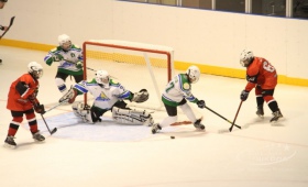 Детская хоккейная лига